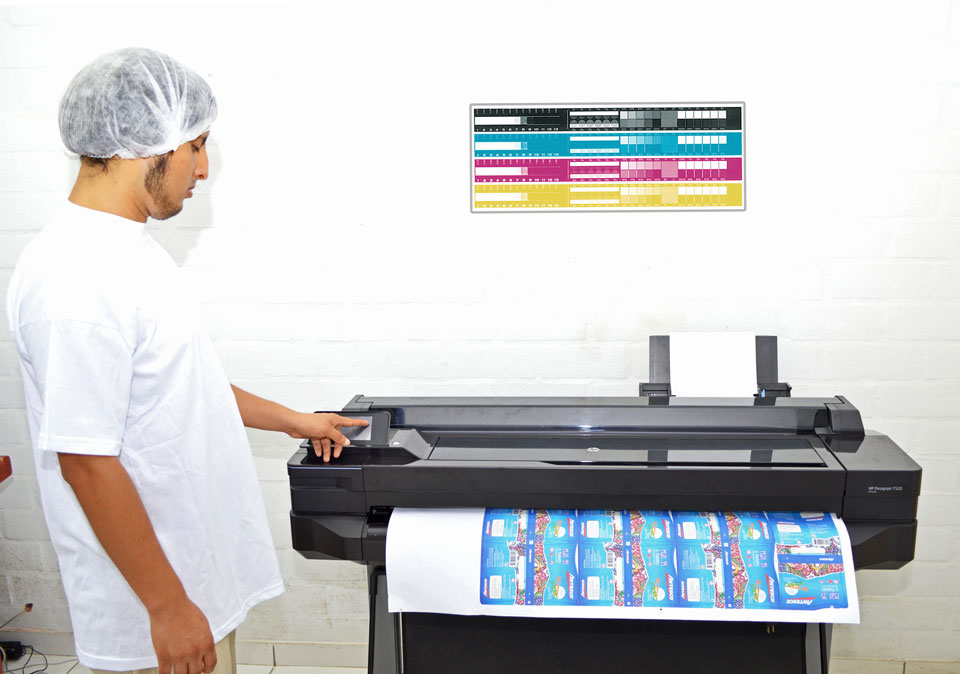 Diseño y Desarrollo / Preprensa TS Impresiones